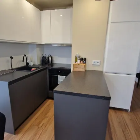 Piekny Z Widokiem Apartamento Katowice