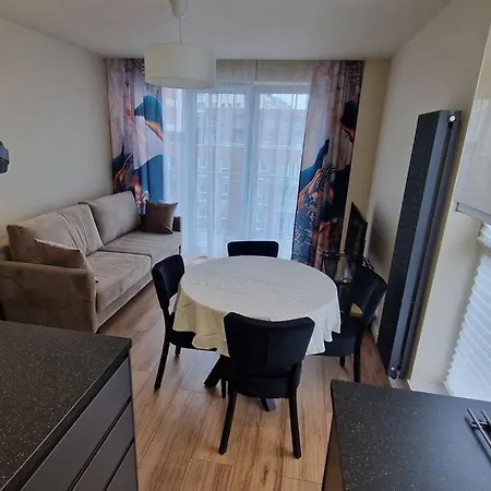 公寓 Piekny Z Widokiem 卡托维兹