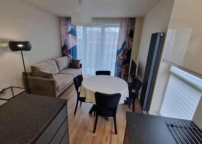 公寓 Piekny Z Widokiem 卡托维兹